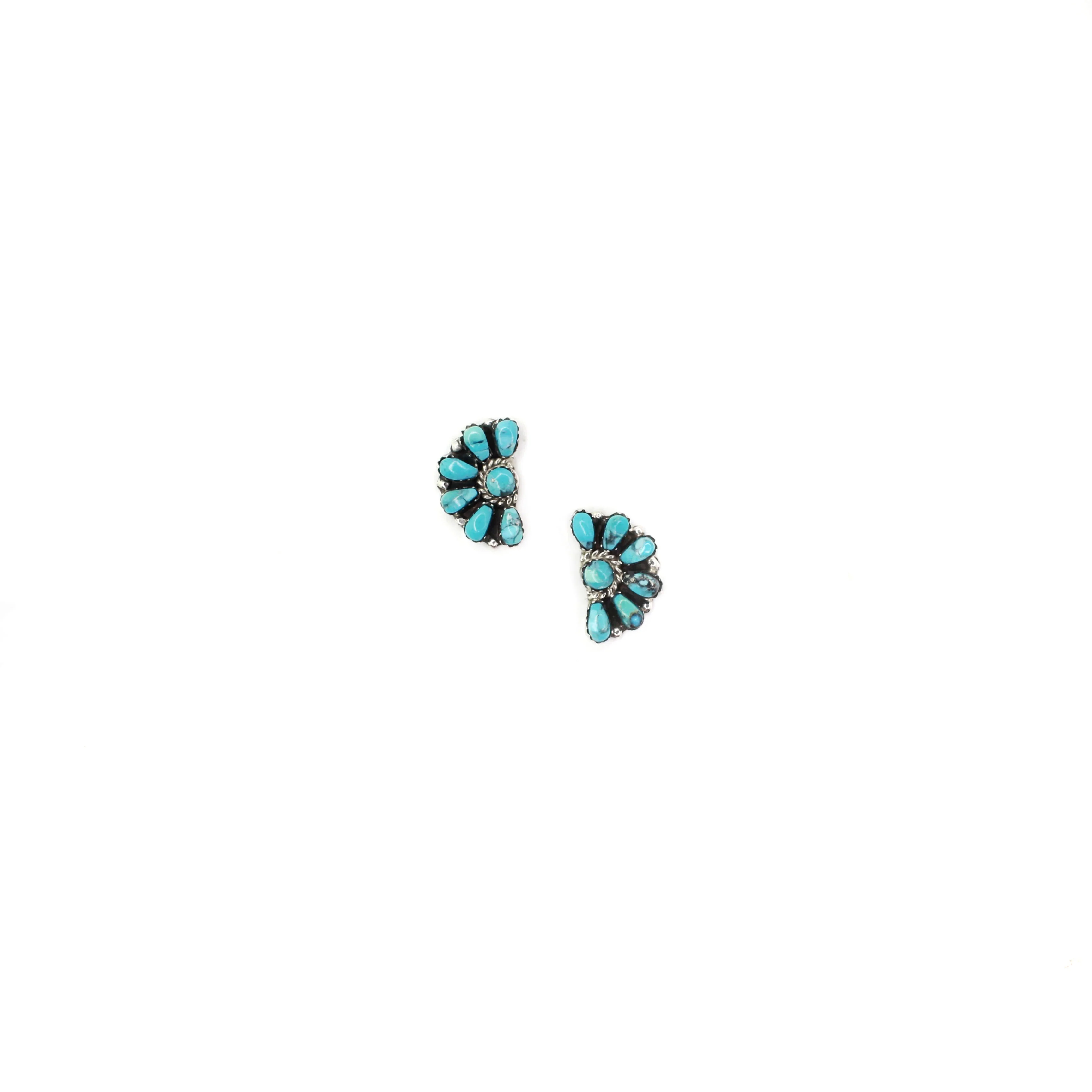 The Edwards 1/2 Clusters - Turquoise
